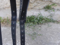 Náhled sedla